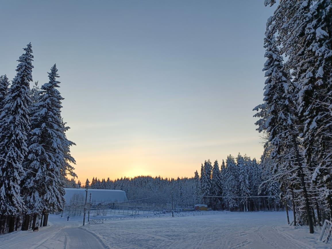 Чужбина ВН-Л1