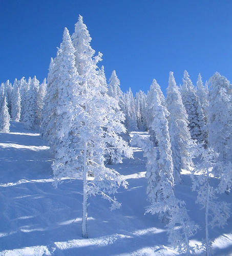 УТРО ДОБРОЕ НОВОГО ДНЯ - с настроением :))