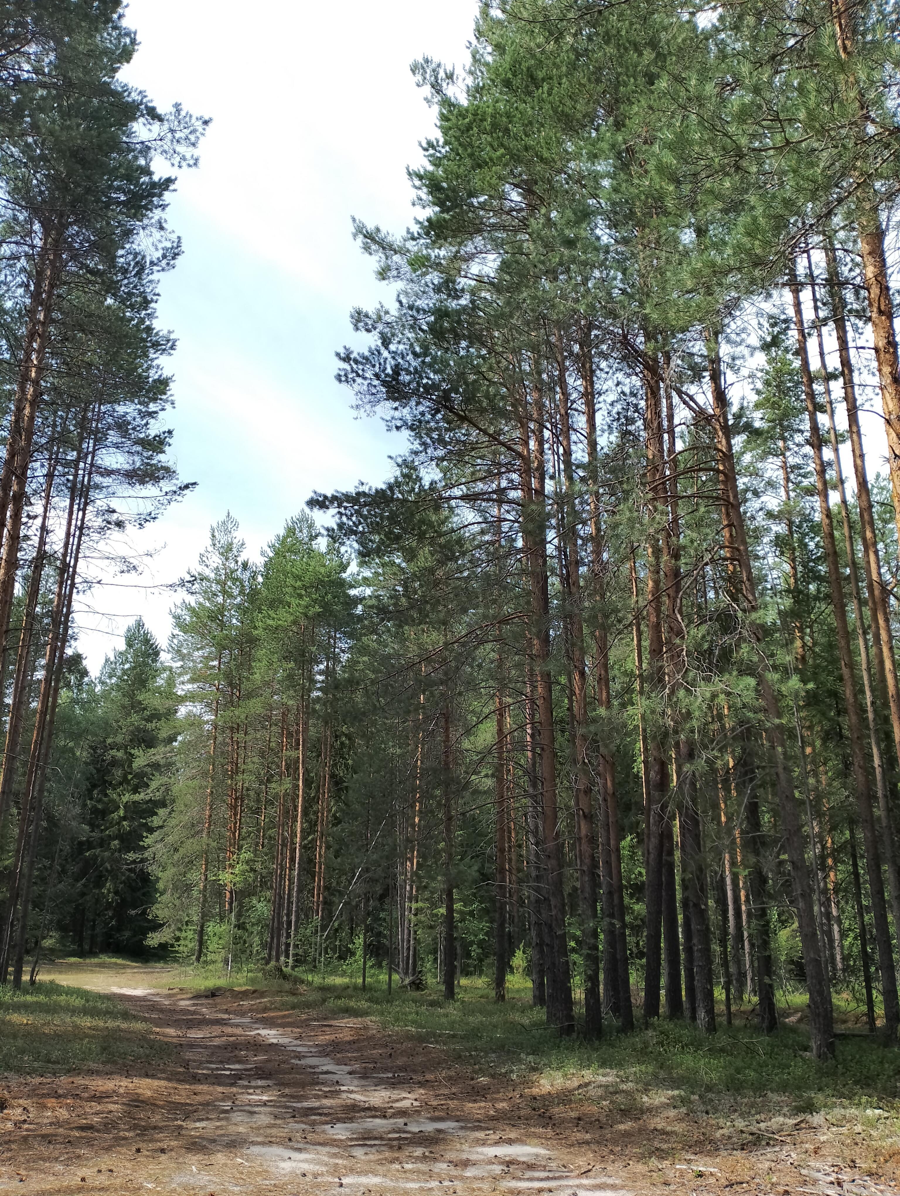 Мне сегодня бы в дорогу ну, а я лежу мешком