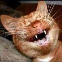 Я никому не лезу ни в душу, ни в карман