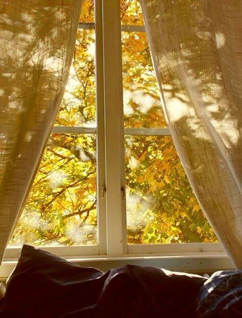 НОЧНЫЕ ДУМЫ