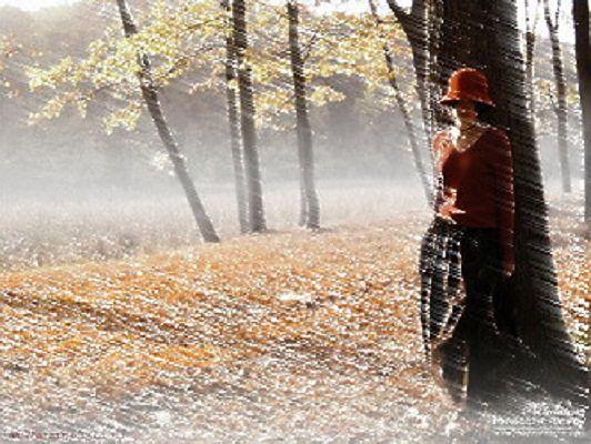 Мне кажется , что город опустел