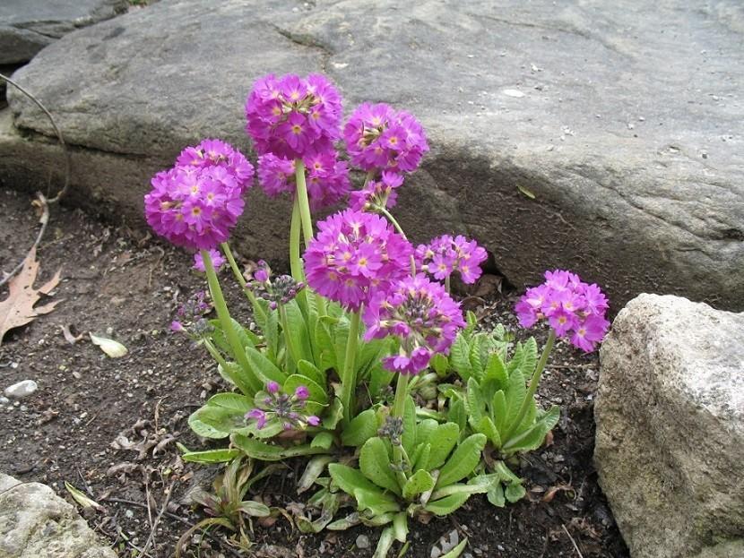 Мы движемся снова со скоростью чувства...