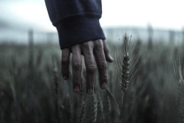 Что заставляет нас.