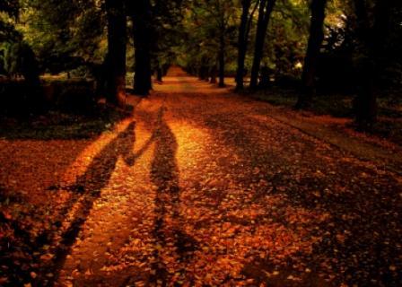 СВЕТЛАЯ ПЕЧАЛЬ