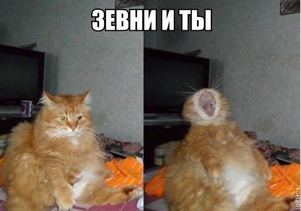 На злобу дня