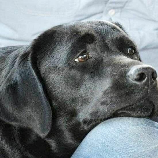 МОЙ  ГОРОД  В  СУББОТУ