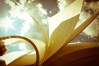 О жизни и книгах