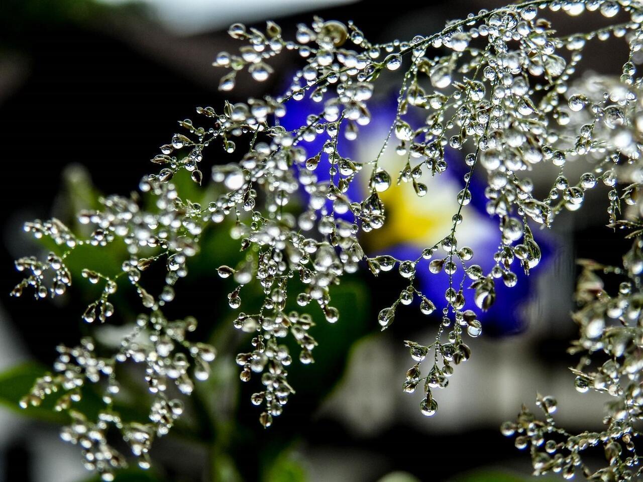 У ВЕСНЫ СВОЁ ЗВУЧАНИЕ