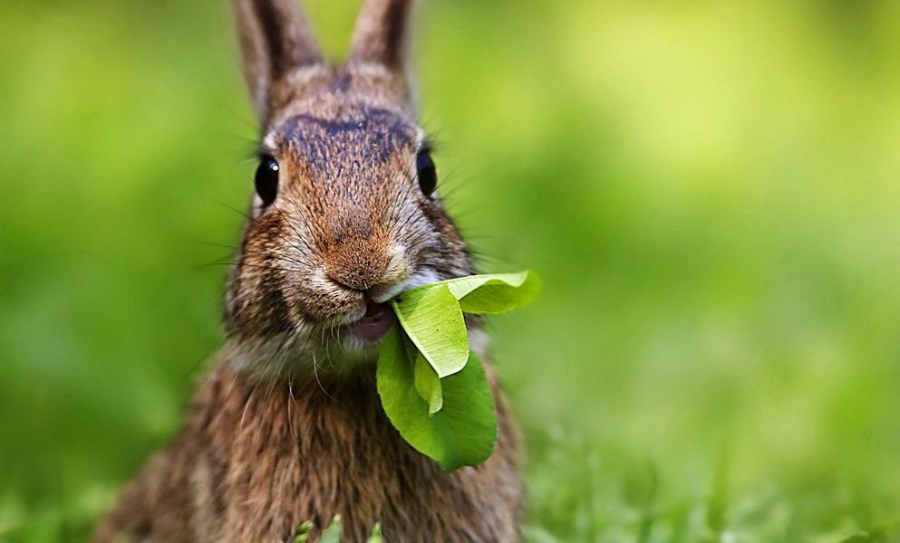 Лето - праздник для Души