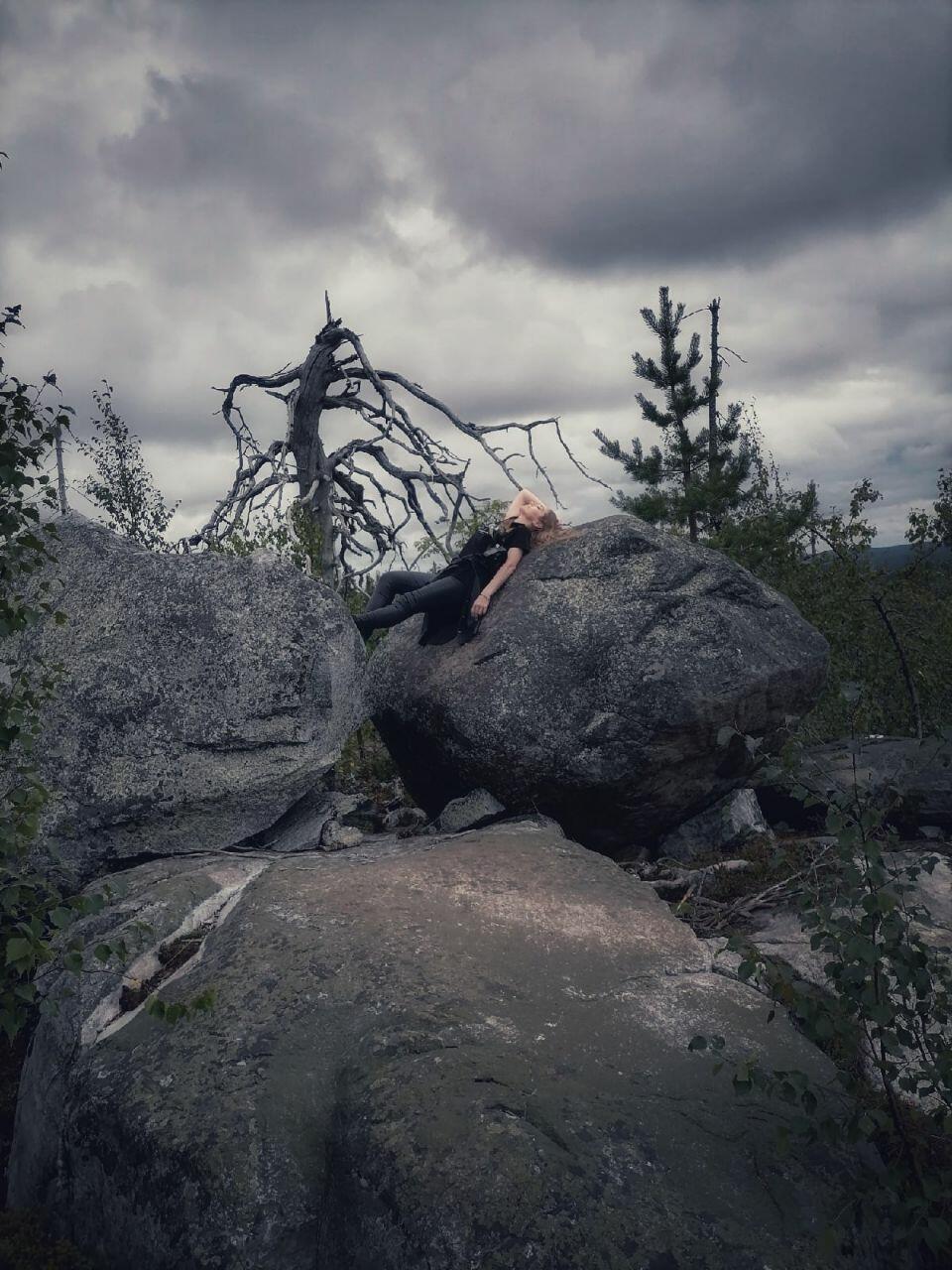 Вечерний лес