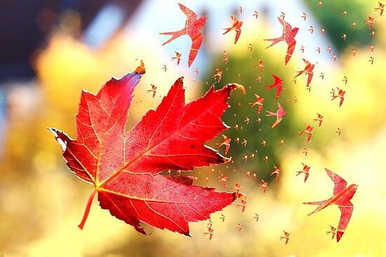 Сказка о мечте