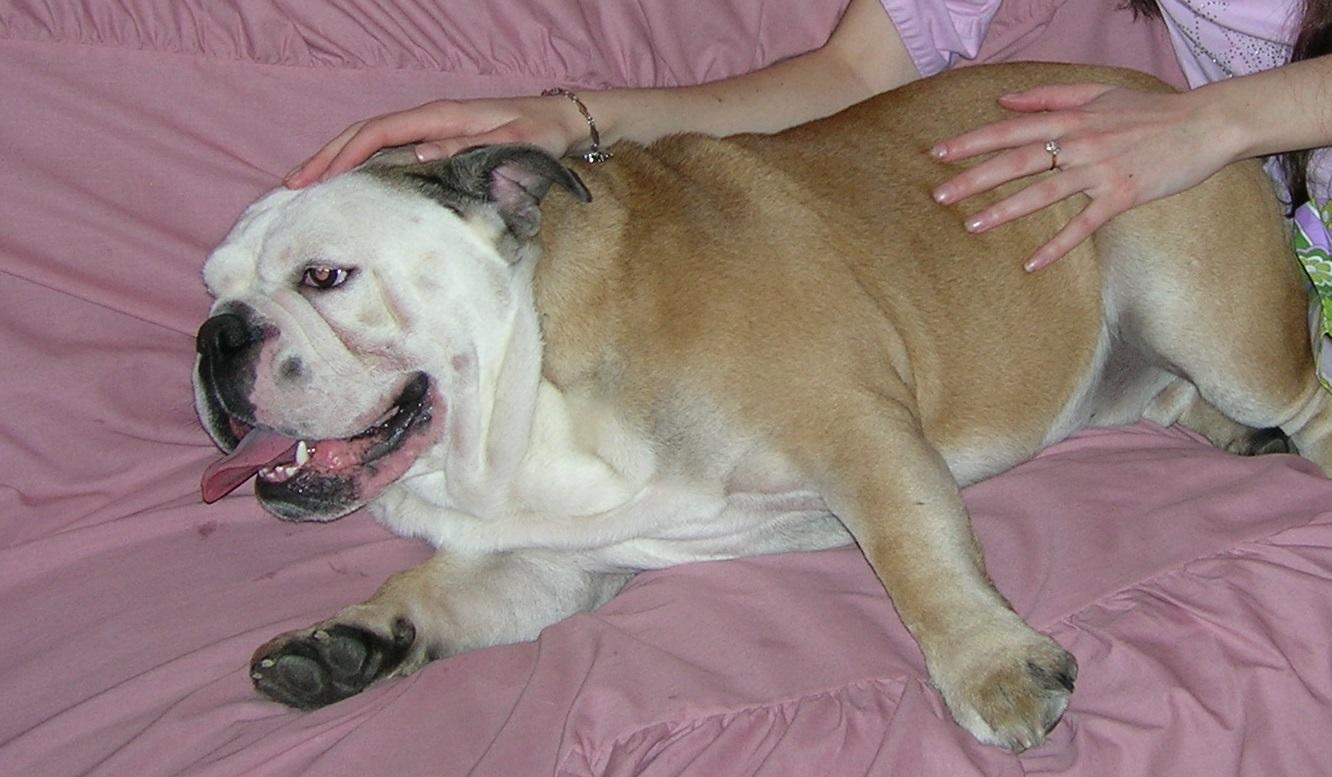 НЕ ЖАЛЕЙТЕ ЧУВСТВ - Короткий Стих № 03