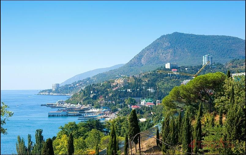 В  ПРОФЕССОРСКОМ  УГОЛКЕ. АЛУШТА.