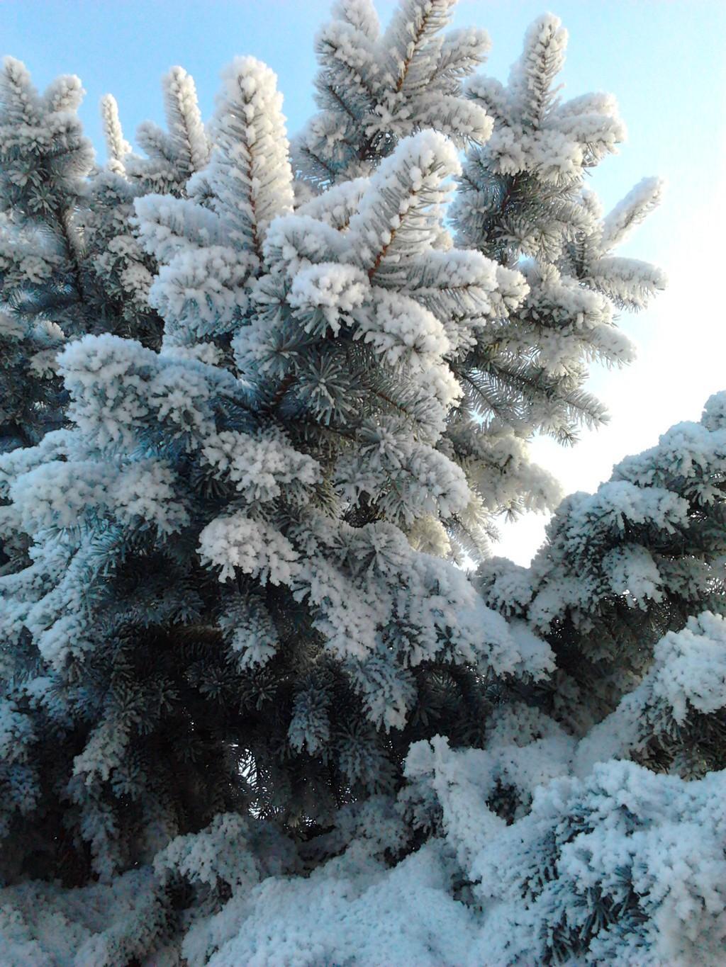 Есть всё для каждого