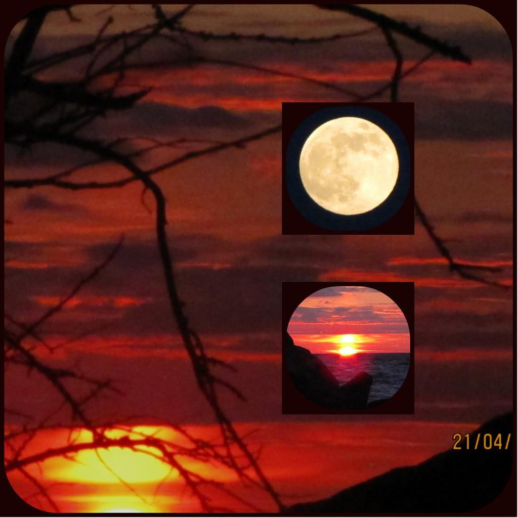 КАК ПИТЕКАНТРОП...