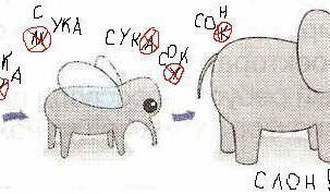 из мухи слона