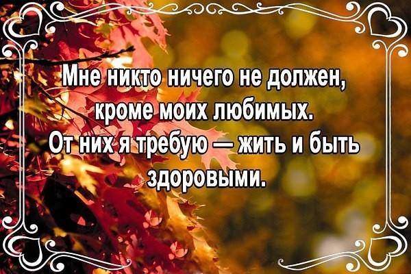 Осенние цветы