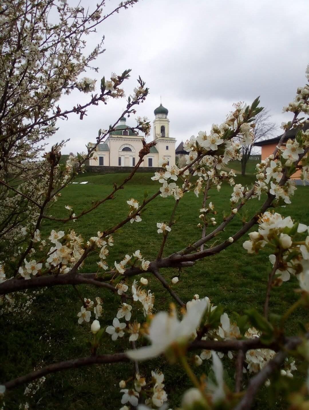 Благая весть