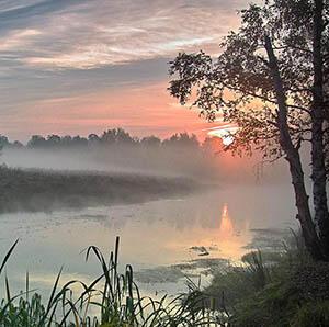 Умыкнул, как норка в норку.