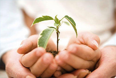 Я далеко не меценат