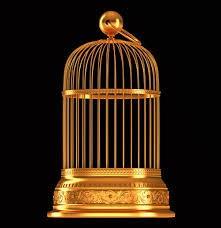 Все твердят только лишь о свободе...