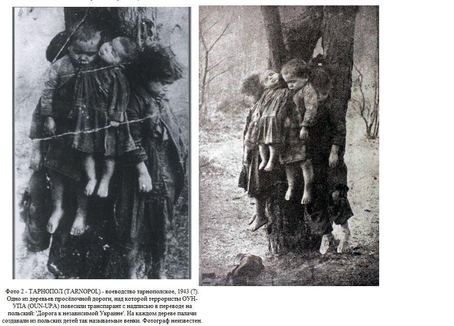 Волынь, 9 февраля 1943 года