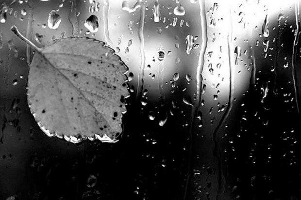 ПРОШЕДШЕЕ ПОМНЮ