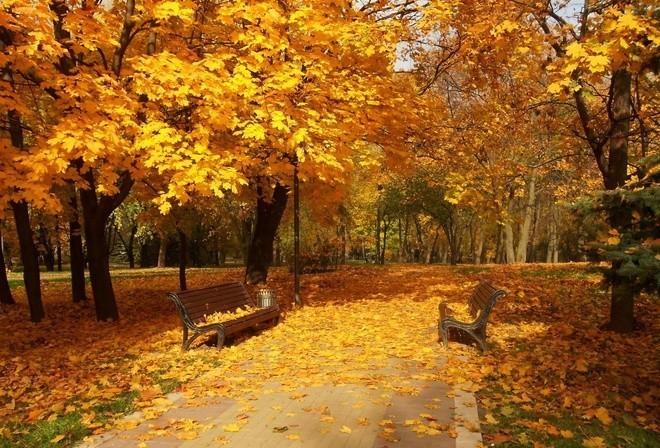 Воспоминания