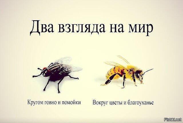 Двойное ощущение