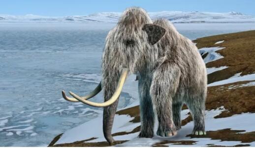 Последний из рода