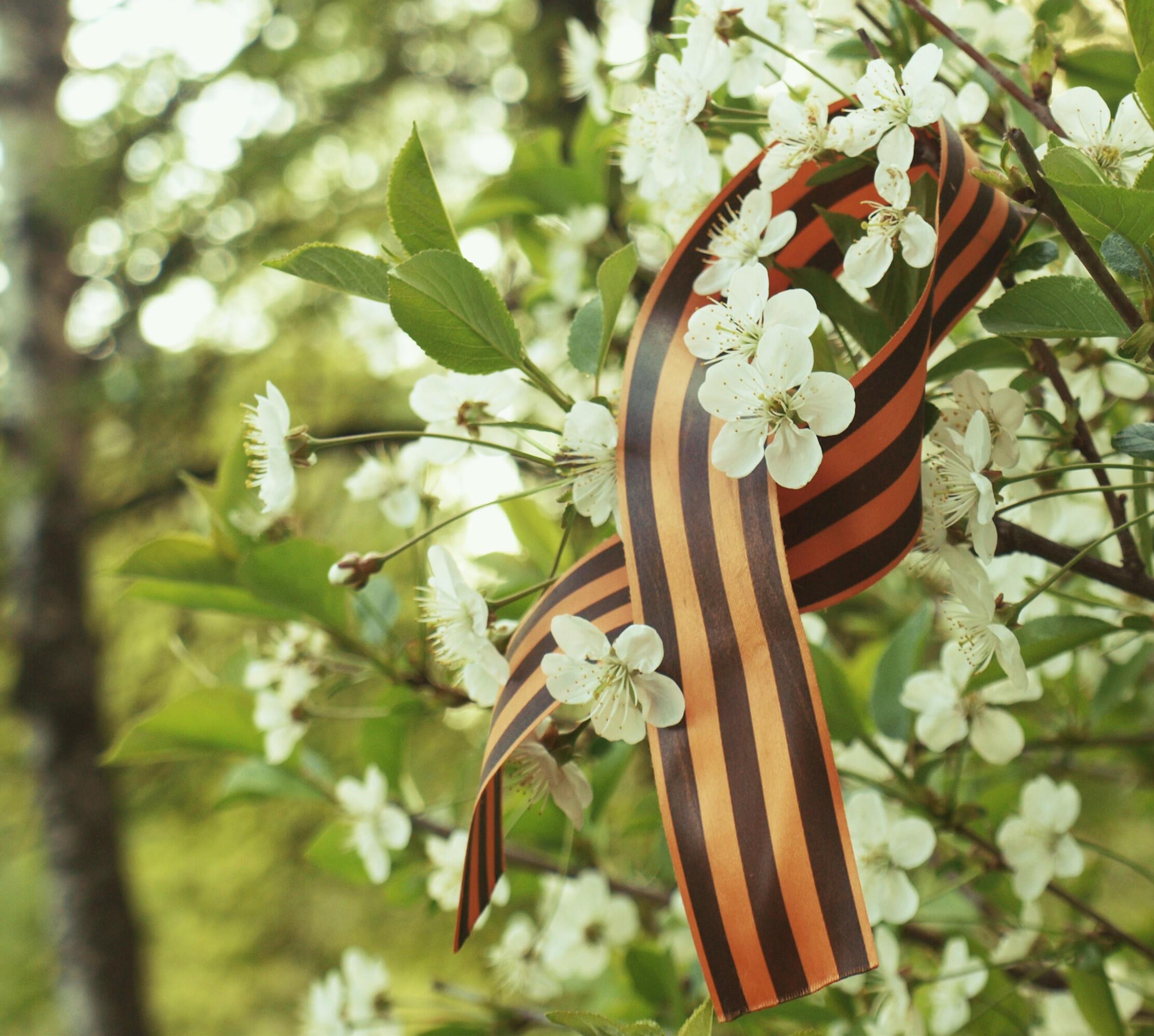 ПО СЛЕДАМ СТИХОВ И ПЕСЕН О ВОЙНЕ