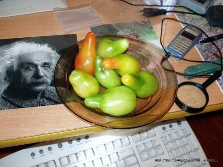 Летняя окрошка 2010