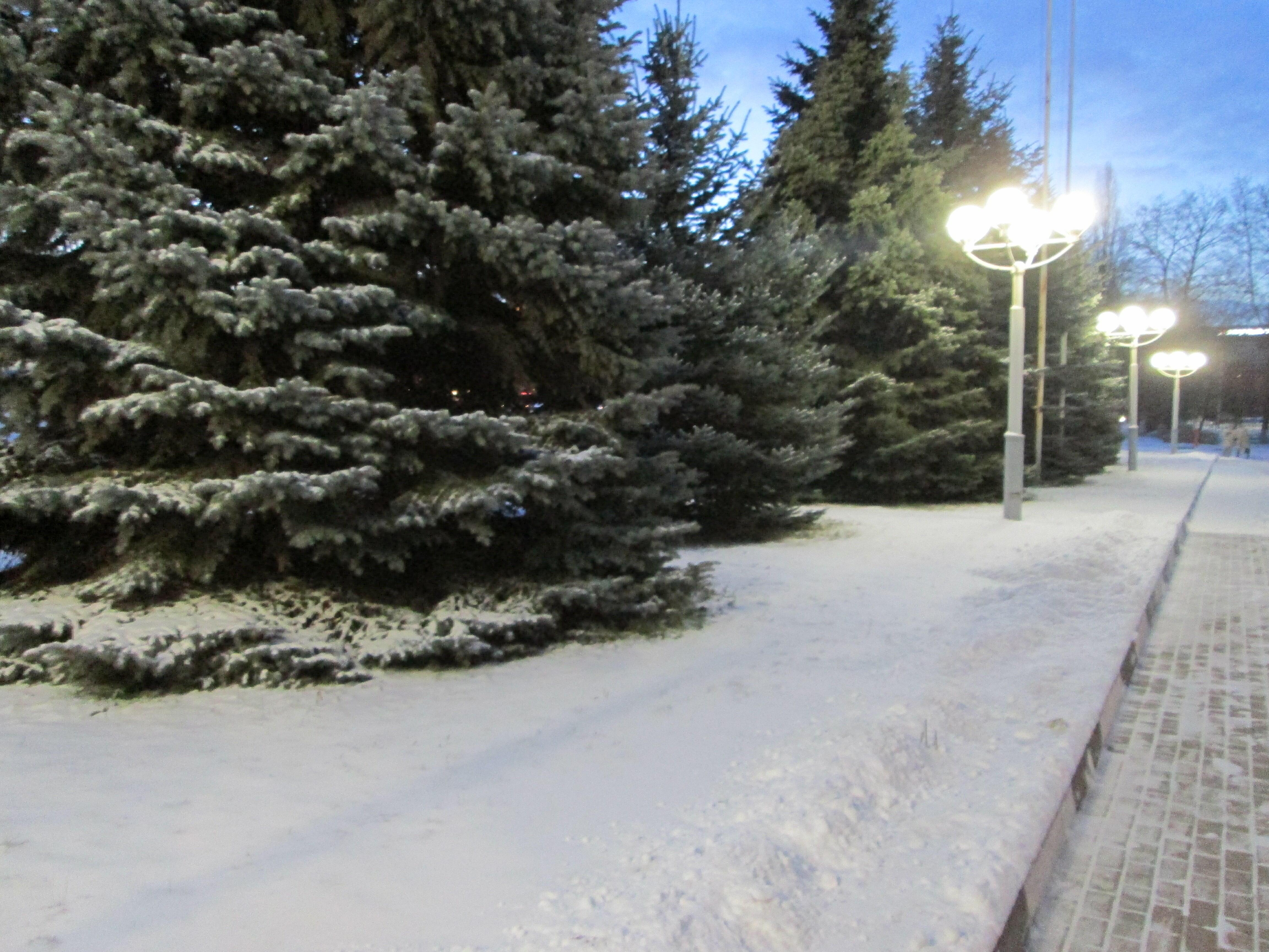 РАДУЙСЯ ПРИРОДЕ