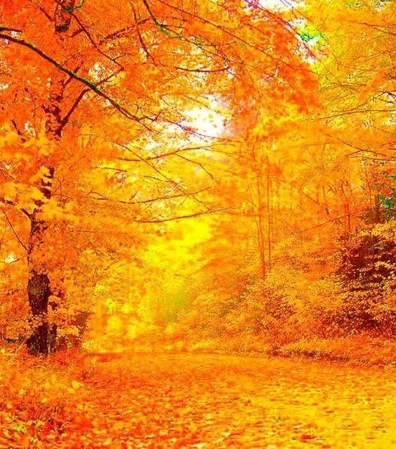 ---Осень в жизни---