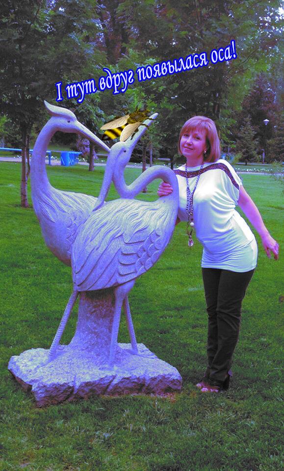 Сонеты вам од Васыле