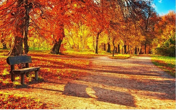 "Скорей бы осень наступила..." (13.06.2016)