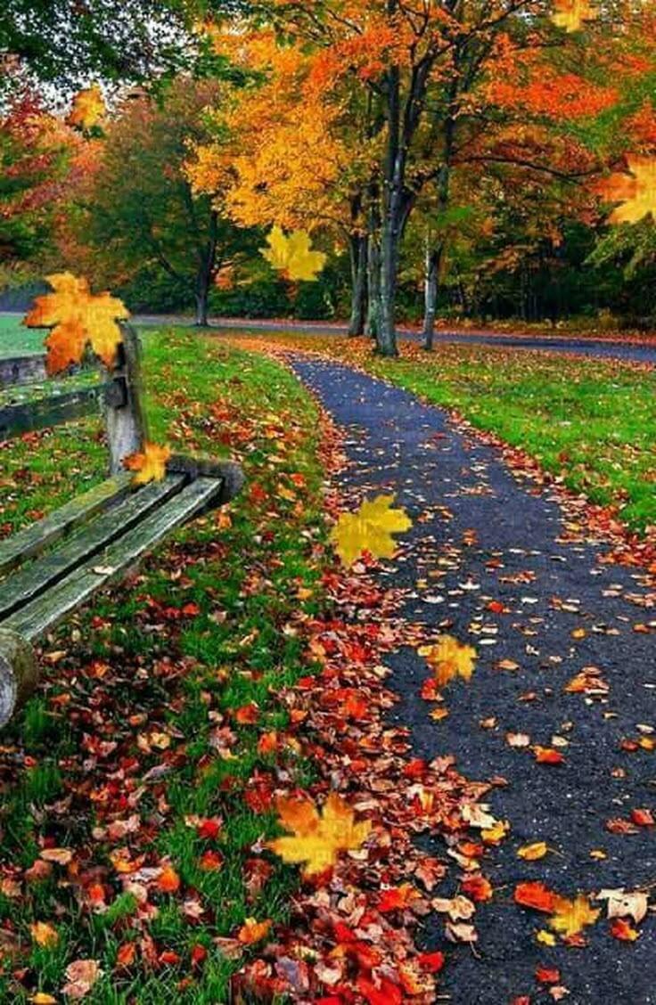 В вечерний час