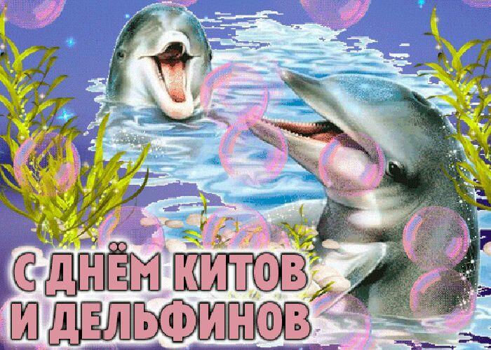 23 ИЮЛЯ - Всемирный день китов и дельфинов