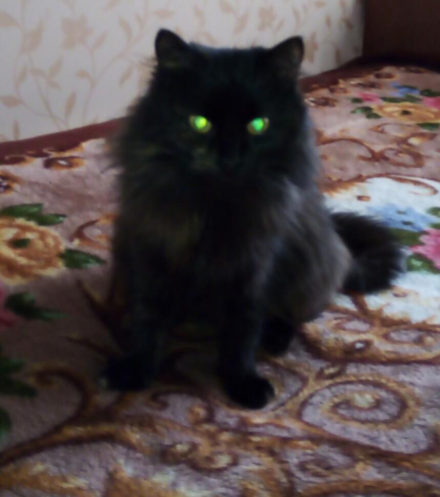 Зеленоглазая