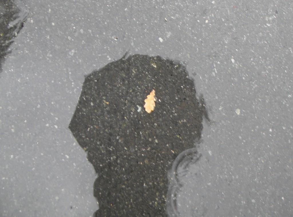 Слеза-росинка