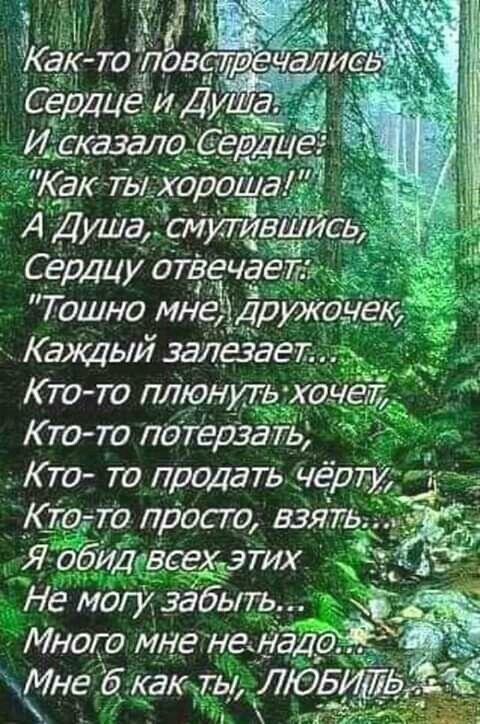 ДУША , ПЛЕНЁННАЯ СТИХАМИ