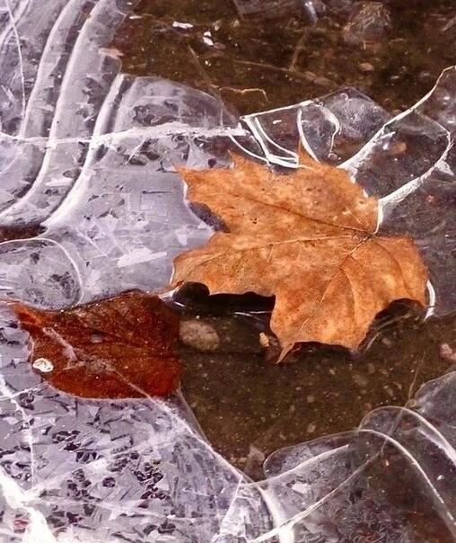 Зимушка в права вступает