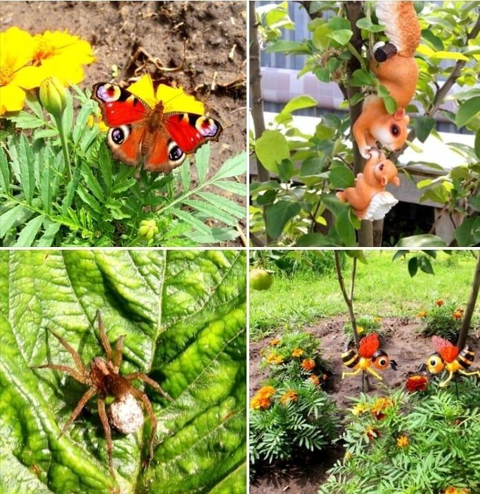 "Горка лета"