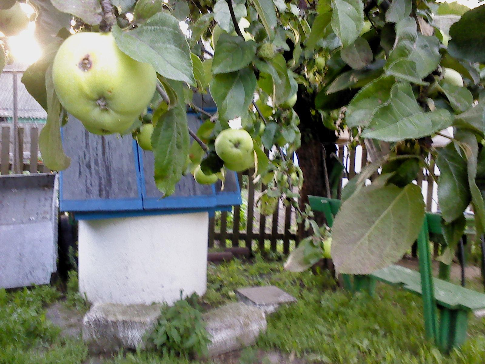 Реинкарнация.