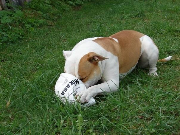 ЕЩЁ РАЗ О ДУЭЛЯХ...