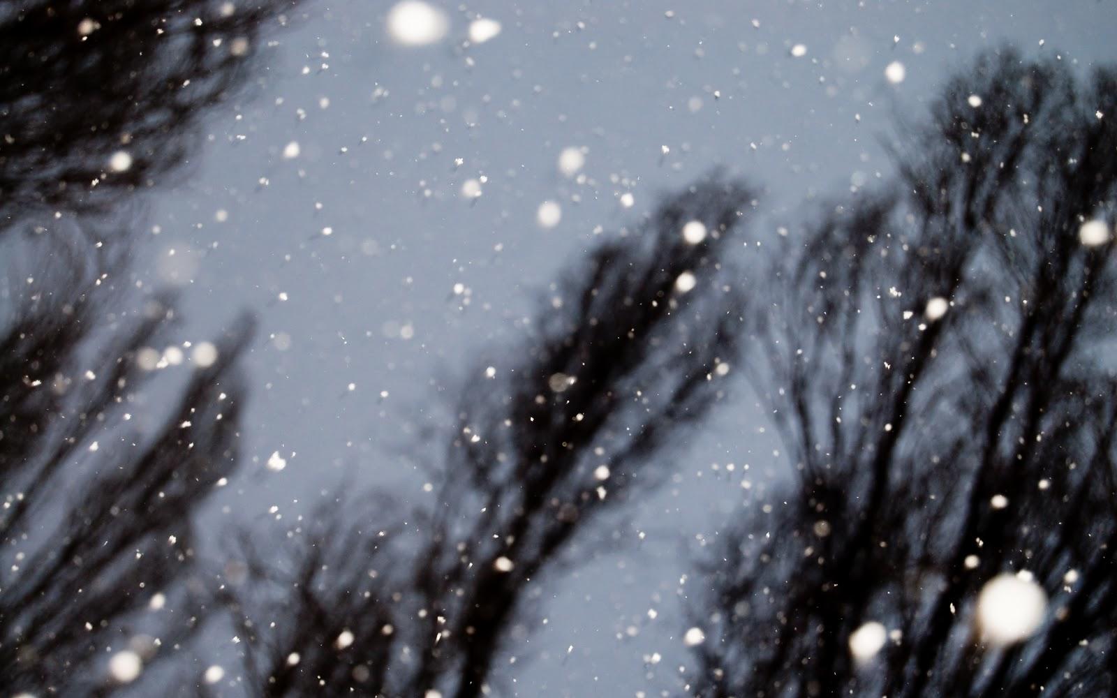 Колокольная песня.