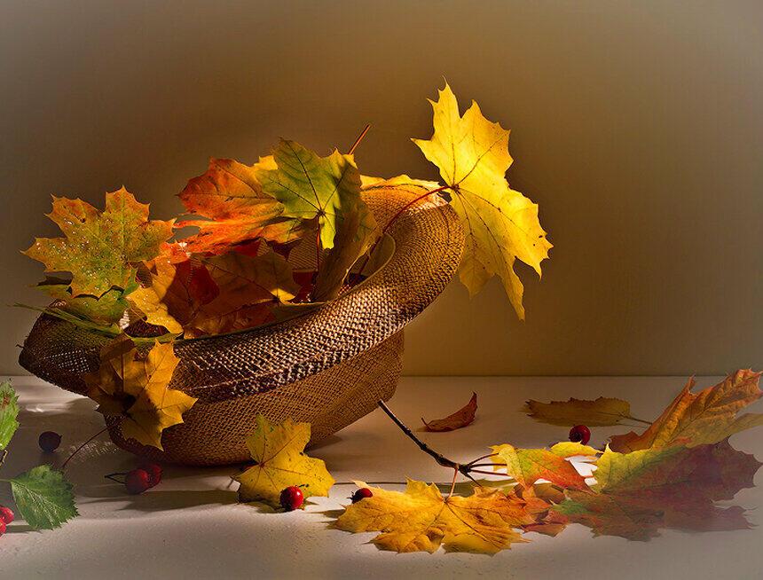 Терпенье – главная награда