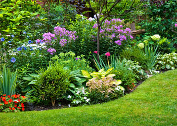 Разноцветие