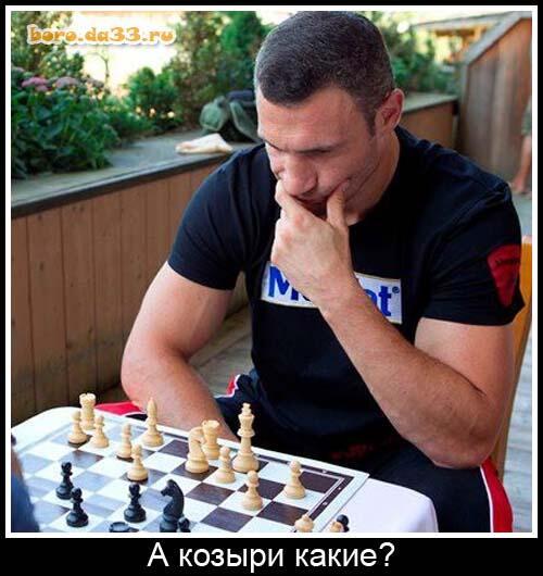 "По жизни был всегда я мачо". Полушахматное